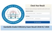 gambella grade 8 Ministry exam result 2018 EC
