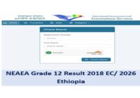 neaea.gov.et Grade 12 Exam result 2018 EC