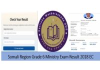 Somali Region Grade 6 ministry result 2018