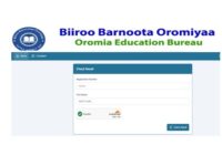 biiroo barnoota oromiyaa kutaa 12 ffaa Bu'aa 2018/ 2026