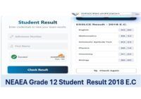 neaea grade 12 results 2018