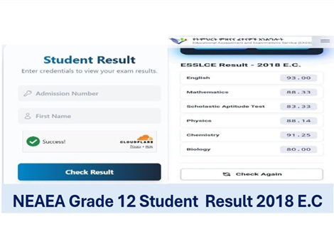 neaea grade 12 results 2018