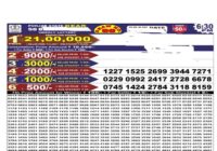 Punjab Dear 50 Weekly Lottery Results 2026